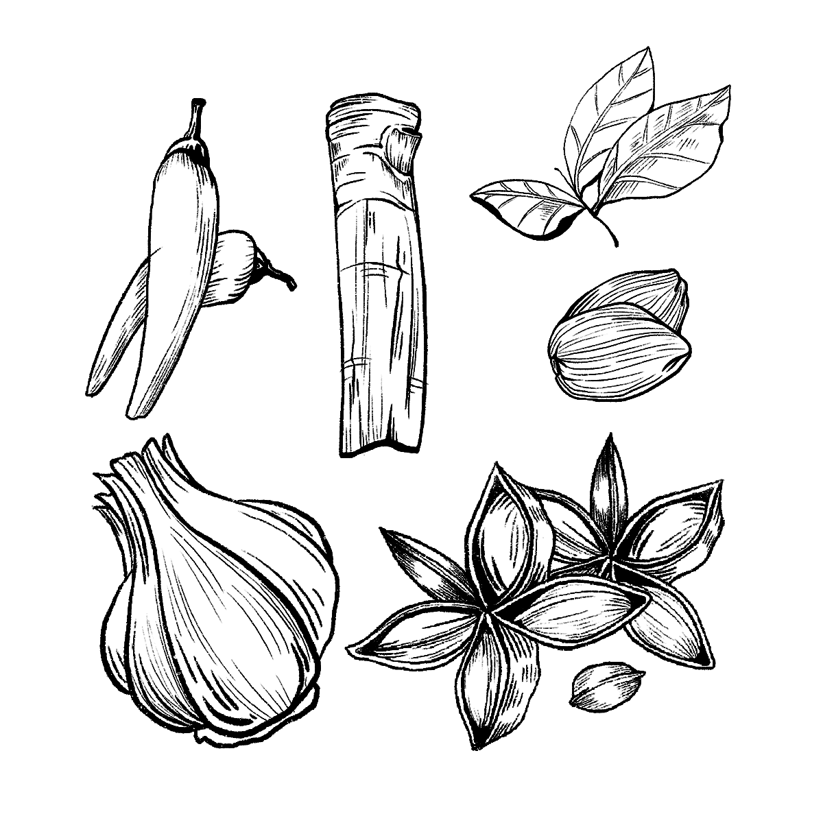 joshan of wye herbs and spices line art icon