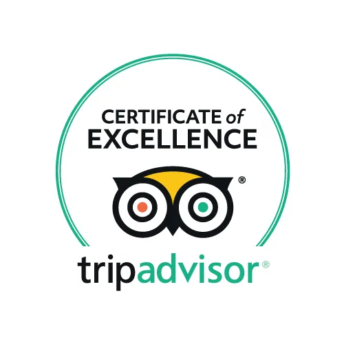 Tripadvisor Certificate of