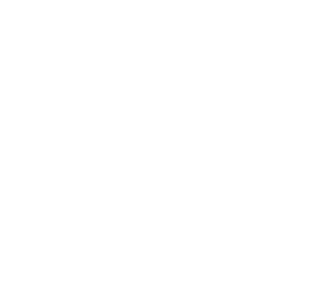 TripAdvisor Travelers' Choice award badge for Joshan of Wye